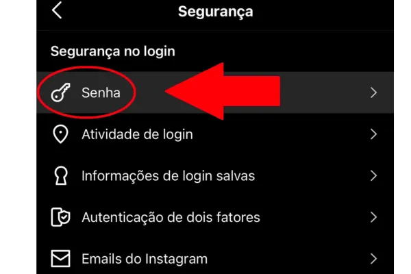 Minha Senha do Instagram